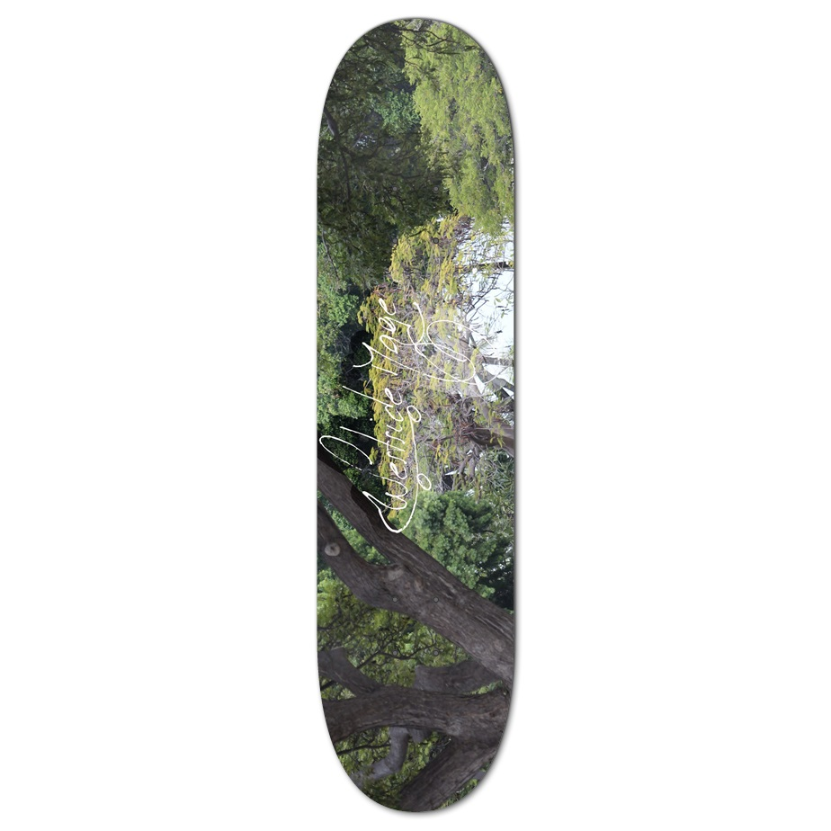 The Climbing Tree