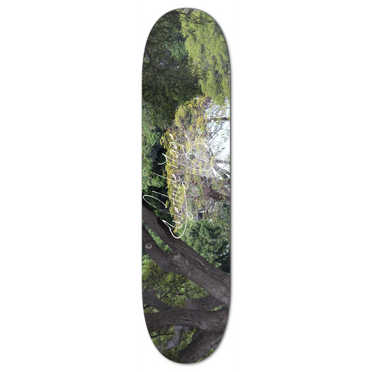 The Climbing Tree