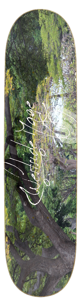 The Climbing Tree
