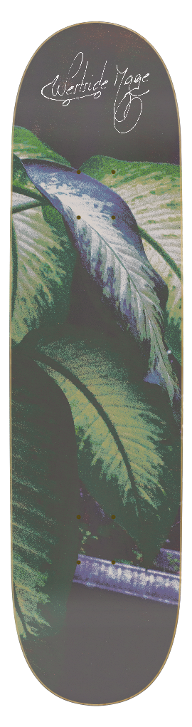 Zeni